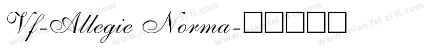 Vf-Allegie Norma字体转换